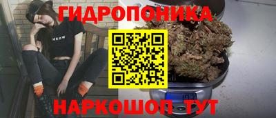 прущие грибы Ликино-Дулёво