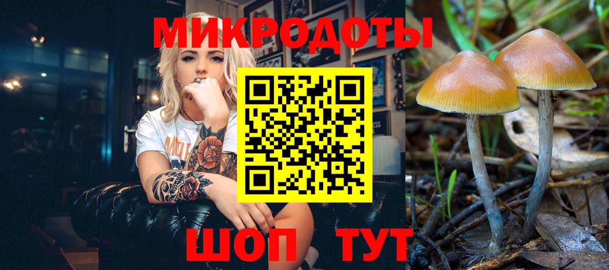 Псилоцибиновые грибы Psilocybe  Галлюциногенные грибы мухоморы  Вход с VPN  Вязьма 